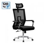 Канцелариска столица Лука ХБ