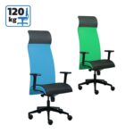 Канцелариска столица Солиум