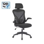 Канцелариска столица Фесто ХБ