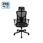 Канцелариска столица Тек и Смарт