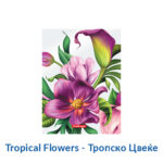 Папка со клип мет. механизам шарена Erich Krause - Image 7